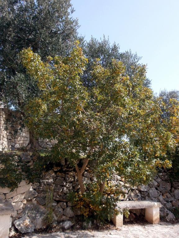 Trullo Villa Giuliana Con Giardino Posizione Panoramica Free Wifi Ostuni Quarto foto